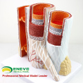 HEART16(12492) Artery & Vein Structure Anatomical Model for Medical Science